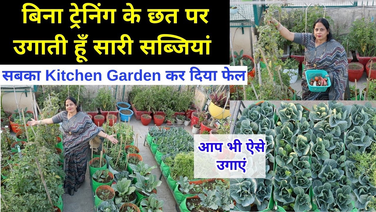 बिना ट्रेनिंग छत पर बनाया Top Class Kitchen Garden 😍 हर सीजन में सब्जियां 🫛🥦🥒🥦