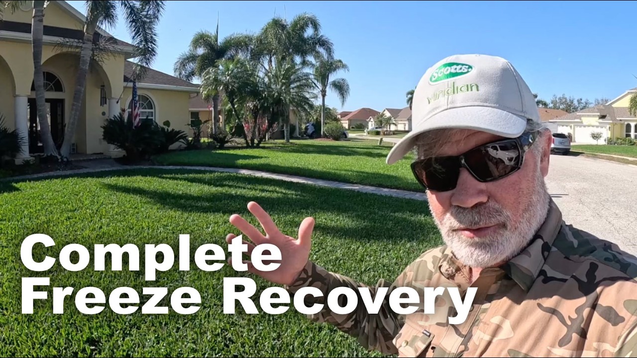 Самый экологичный продукт в Сент-Огастине на рынке - Freeze Recovery Magic