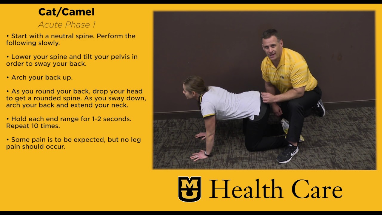 Cat/Camel (Home Spine Care Exercise Program #3)