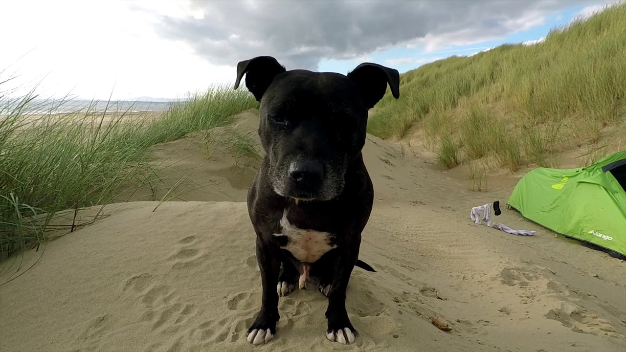 Harlech 🐾 North Wales Coast ⛺️ Wildcamping 2017