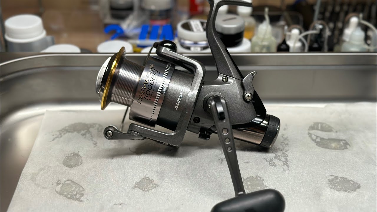 Daiwa Regal Plus 5000 BRi