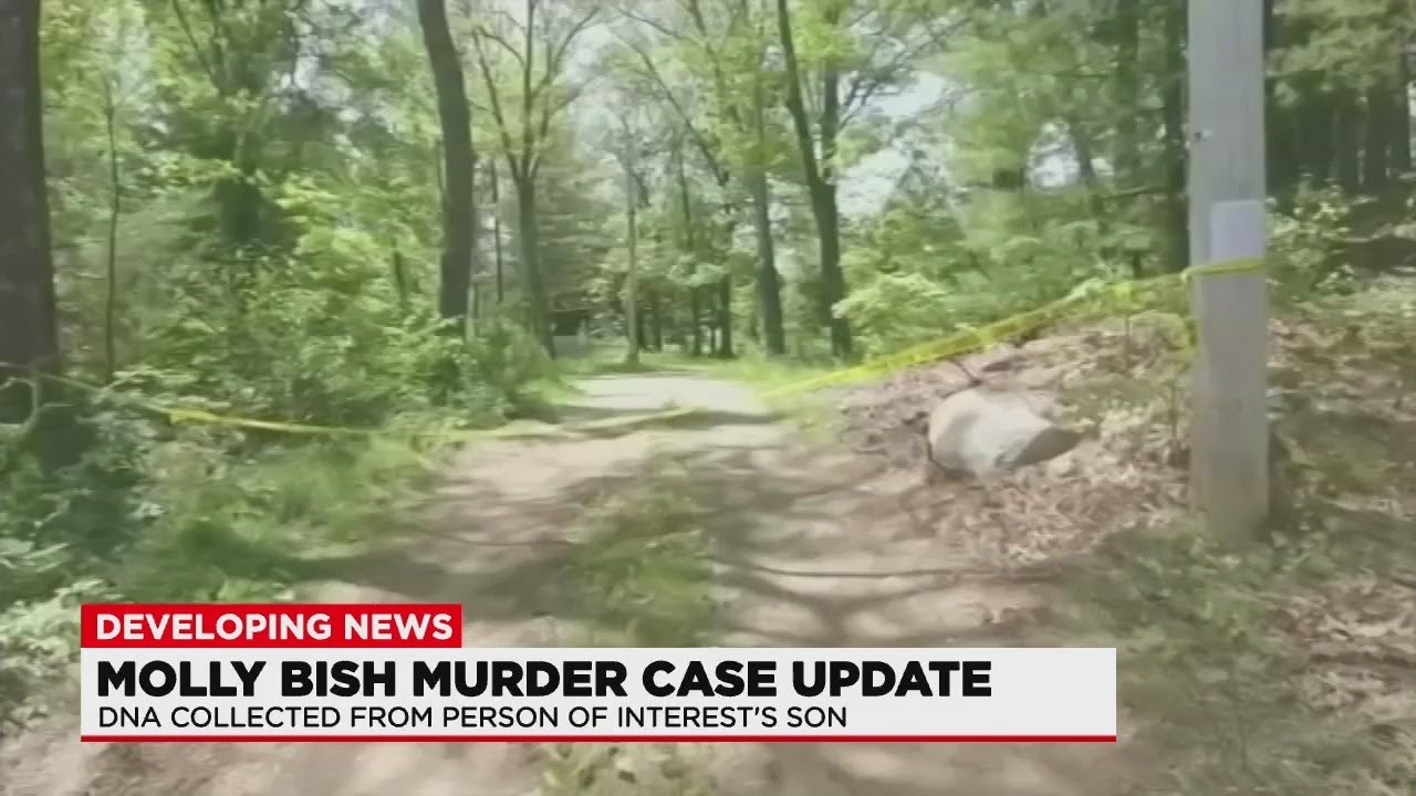 Investigators collect DNA 21 years after Molly Bish's disappearance, family hopeful for case break