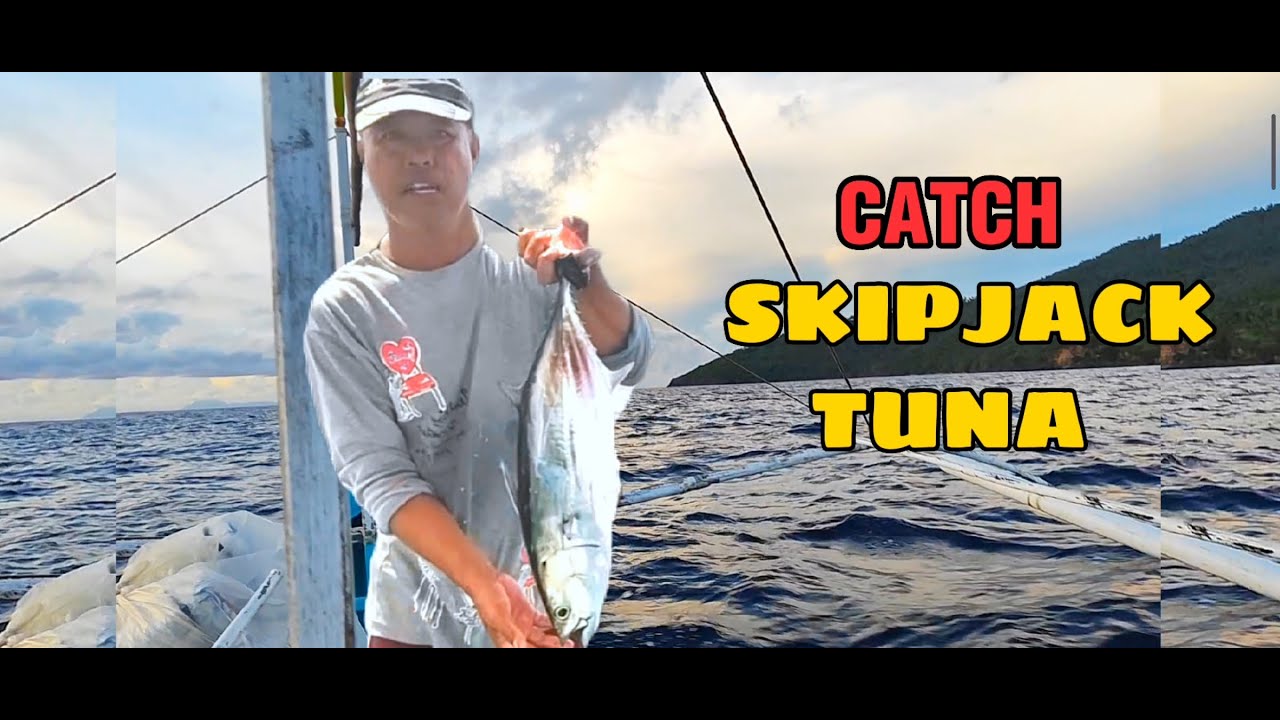Catch Skipjack Tuna | KABANTAY