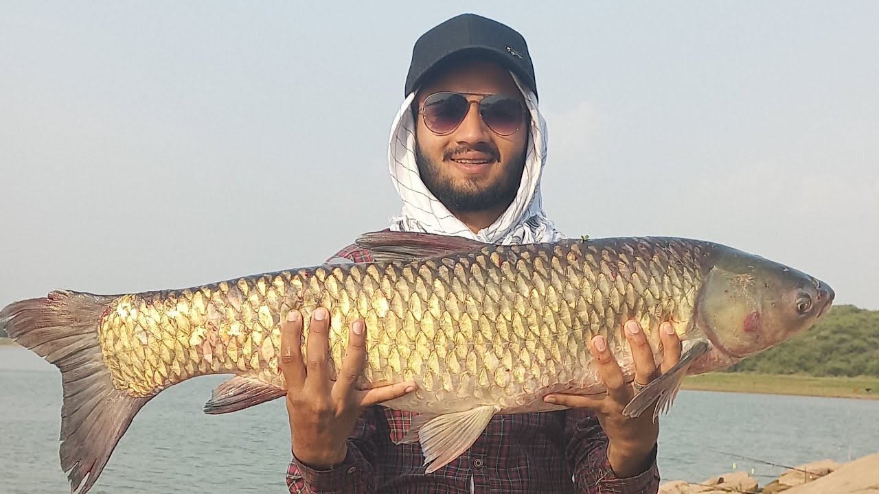 Rawal Dam Ka Khubsurat Grass 15Kg