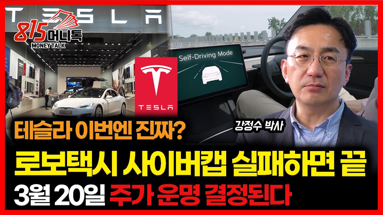 테슬라 로보택시 사이버캡 실패하면 주가 급락 나올까? 