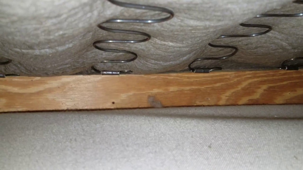 Inspecting and Spraying for Bed Bugs NJ - eliminexnj.com - 732-284-3807
