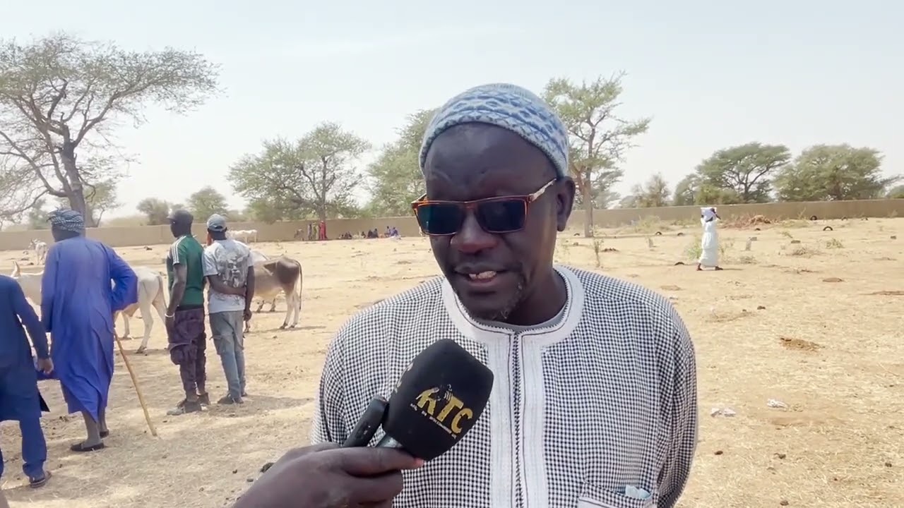 L inauguration du fora de  Ngoye les dioulas Boycottent Bambey Ngoye offre les taxes gratuitement 