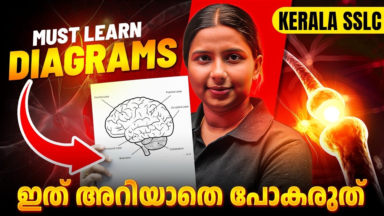 SSLC Biology | Must Learn Diagrams | PW Kerala