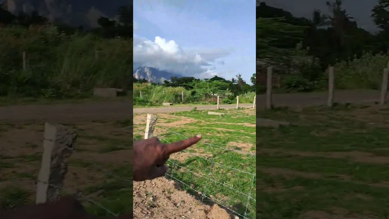 SOLD OUT Nagercoil  cheap rate  House plot sales putheri contact. 80983 84895