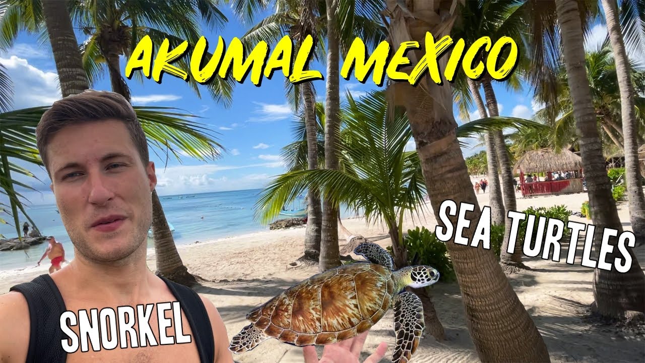 Akumal Mexico 2021 | Snorkeling with Turtles & Travel Tips