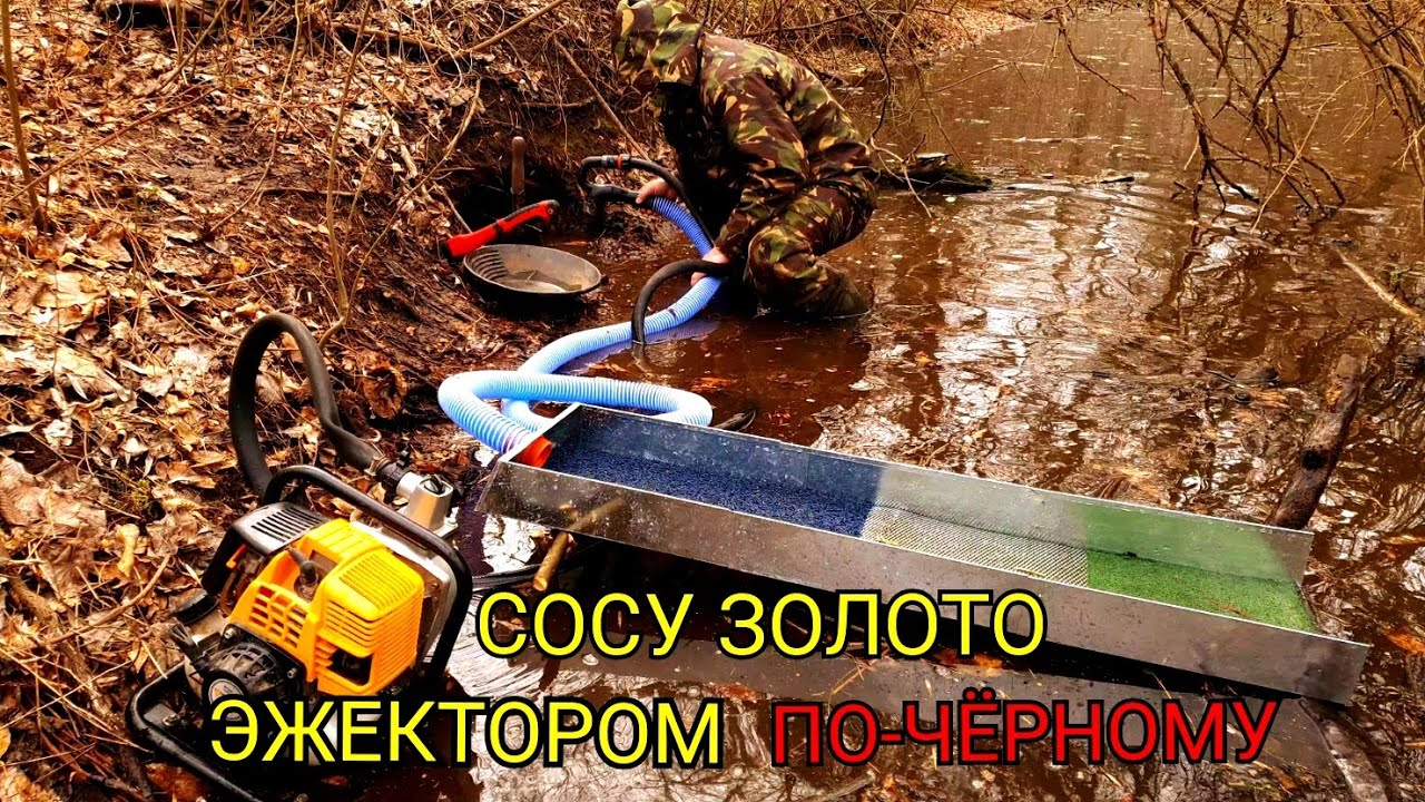 ИЩУ ЗОЛОТО В ЛЕСУ,МОЮ ЭЖЕКТОРОМ ПО-ЧЁРНОМУ.
