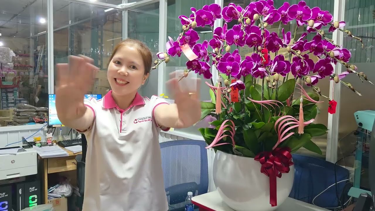 🎊 [VIDEO CUỐI NĂM] HÀNH TRÌNH RỰC RỠ 2025 - BỨC PHÁ 2026 CÙNG CƯỜNG QUẬT! 🎊