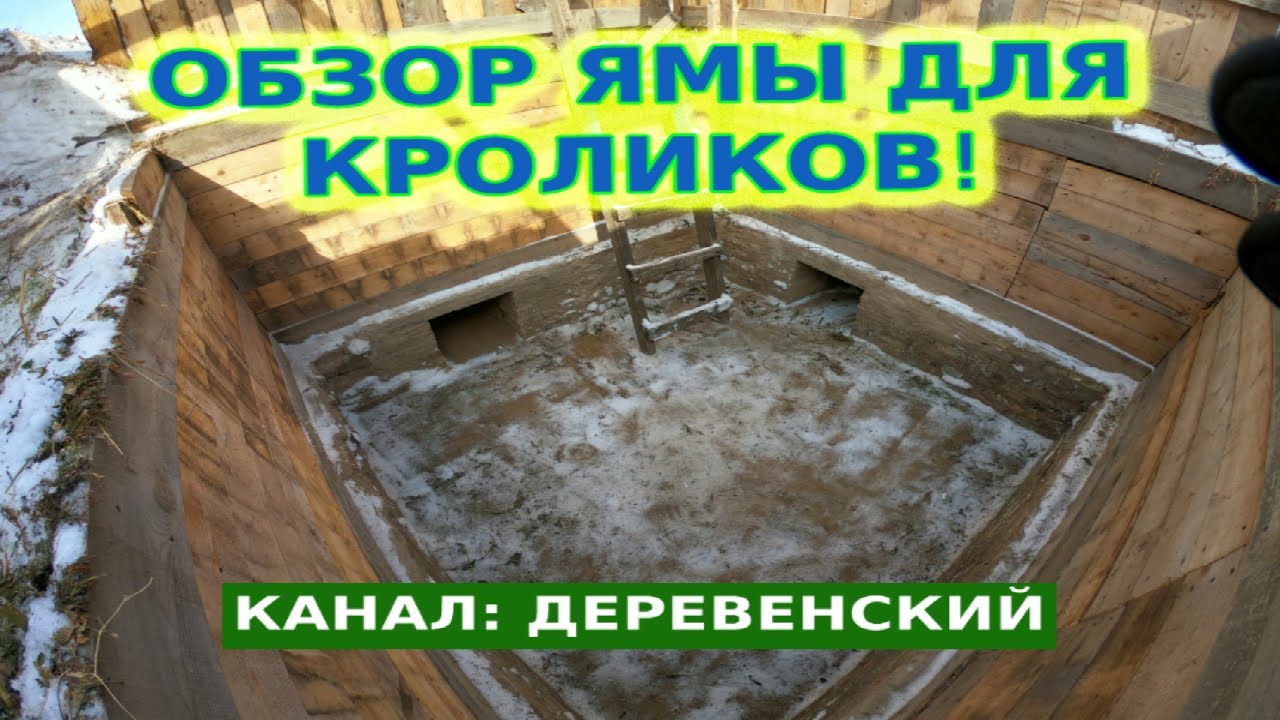 Яма для кроликов. Что лучше, держать кроликов в клетке или в яме?