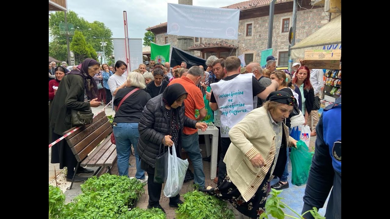 Rize Fındıklı da meci var