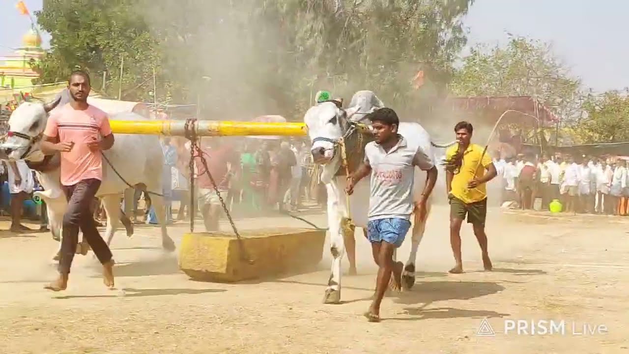 NH44రేకులకుంట స్టేజ్ కాశిరెడ్డినాయన న్యూ క్యాటగిరి 8వ జత నరేష్ చౌదరి వెదురూరు& షేక్ మహిమన్న మల్లెల