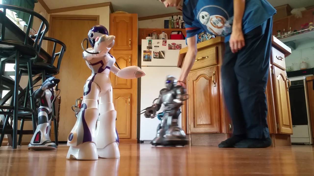 Robots roaming with Zorua635 5