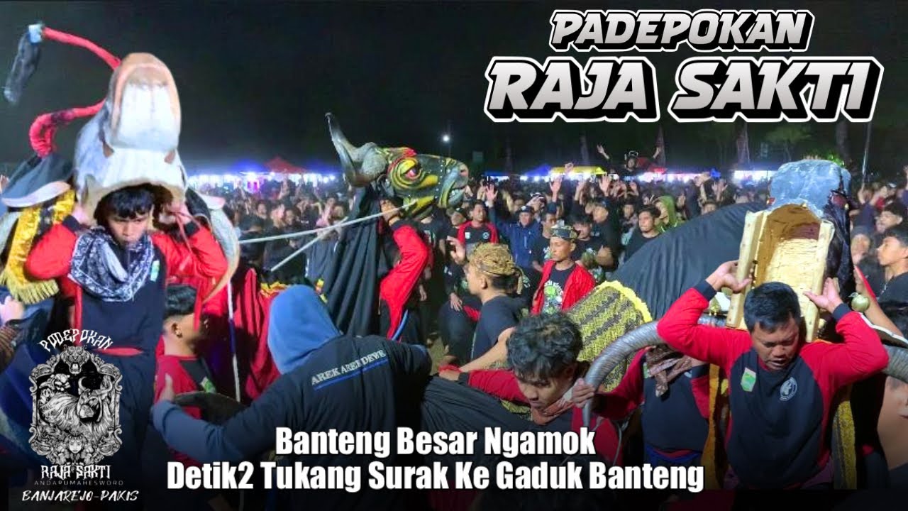Detik2 Penonton Ke Sruduk Banteng Besar‼️PADEPOKAN RAJA SAKTI Live Lap Randutelu Singosari 