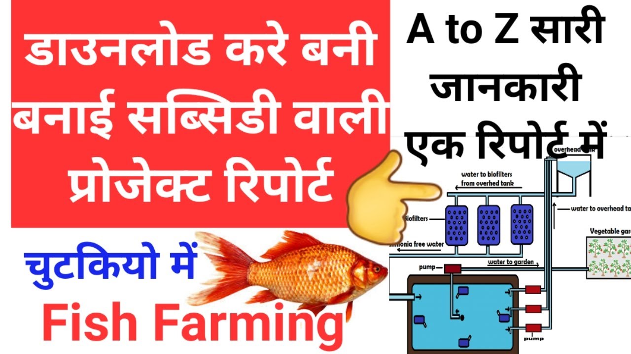 Fish Farming project report 2020 in hindi, Knowledge Kosh