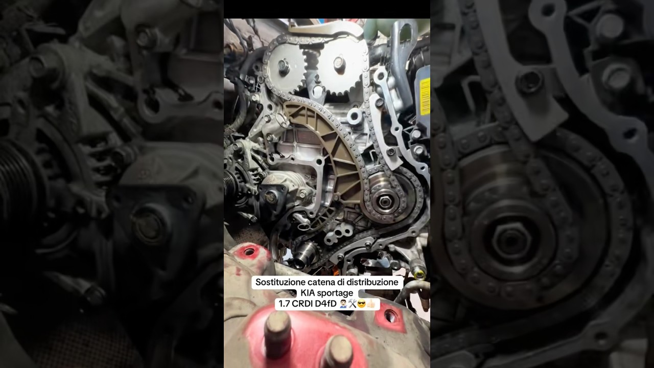 Catena di distribuzione Kia Sportage 1.7 CRDI D4FD