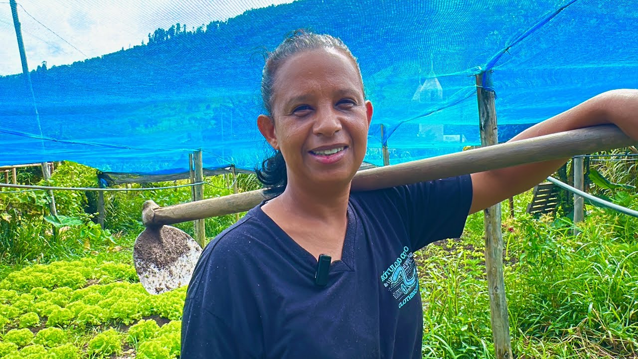 A HORTA ORGÂNICA DA MARCINHA DAS QUITANDAS 