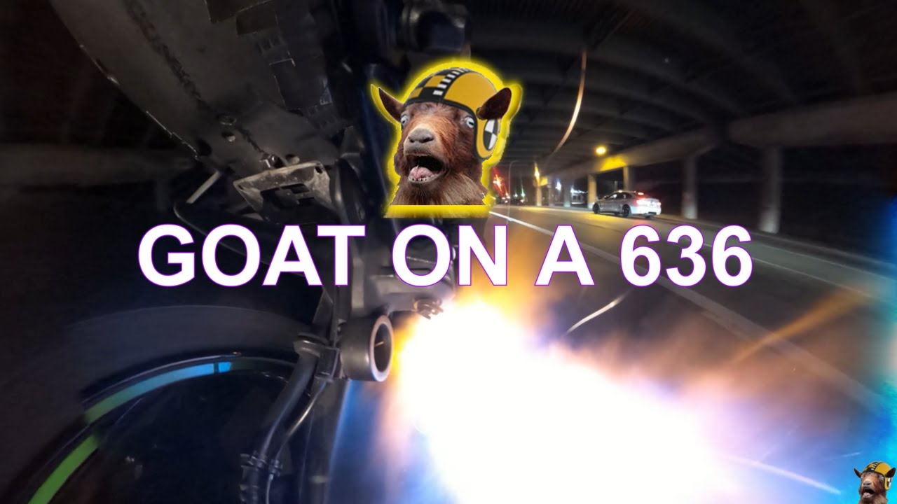Have You Seen This? Racing Through The City At Night On A Ninja 636!