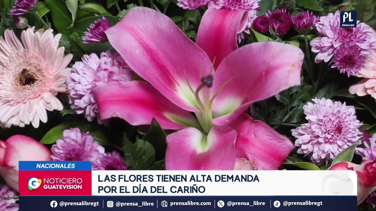 Abren convocatoria para elegir a seis aspirantes a Fiscal General