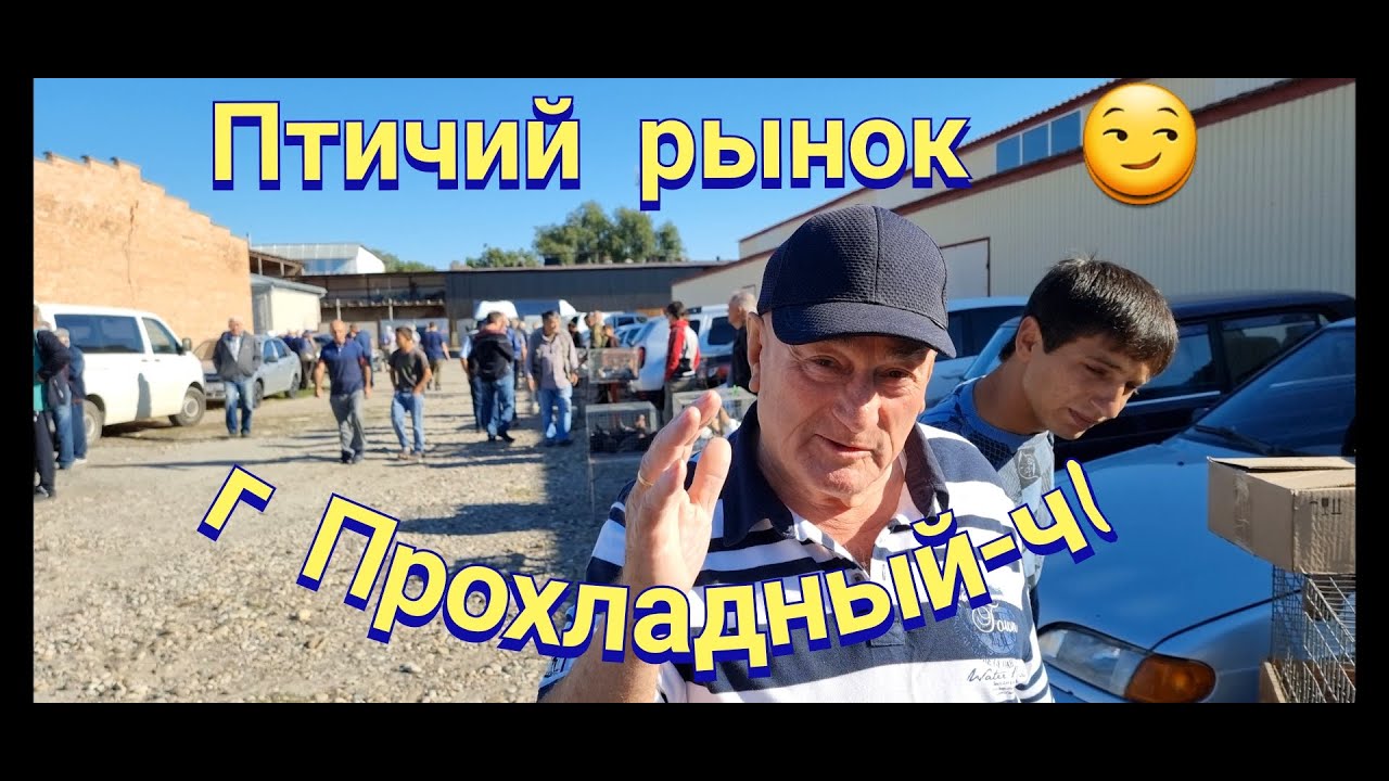 Голуби цены птичий рынок г Прохладный-ч1 Pigeons prices bird market g Cool-ch1