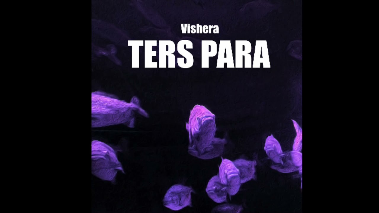 Vishera - nowimsad