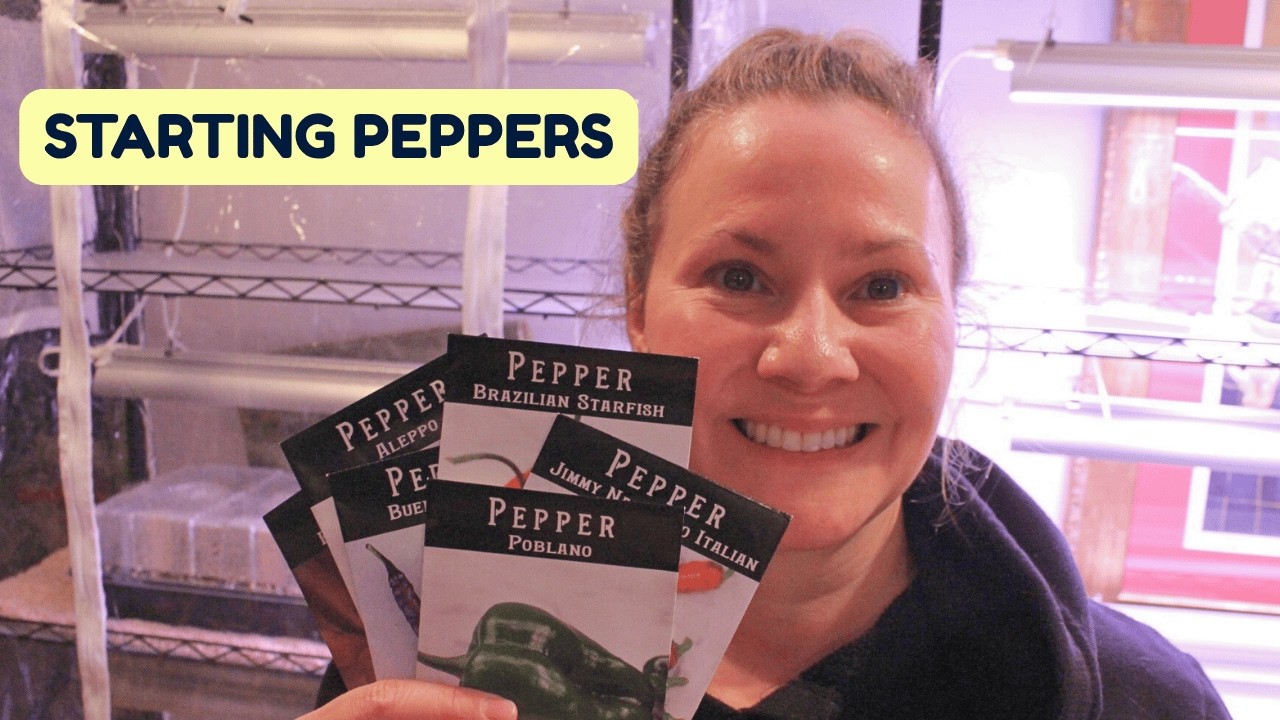 Starting Pepper Seeds Indoors