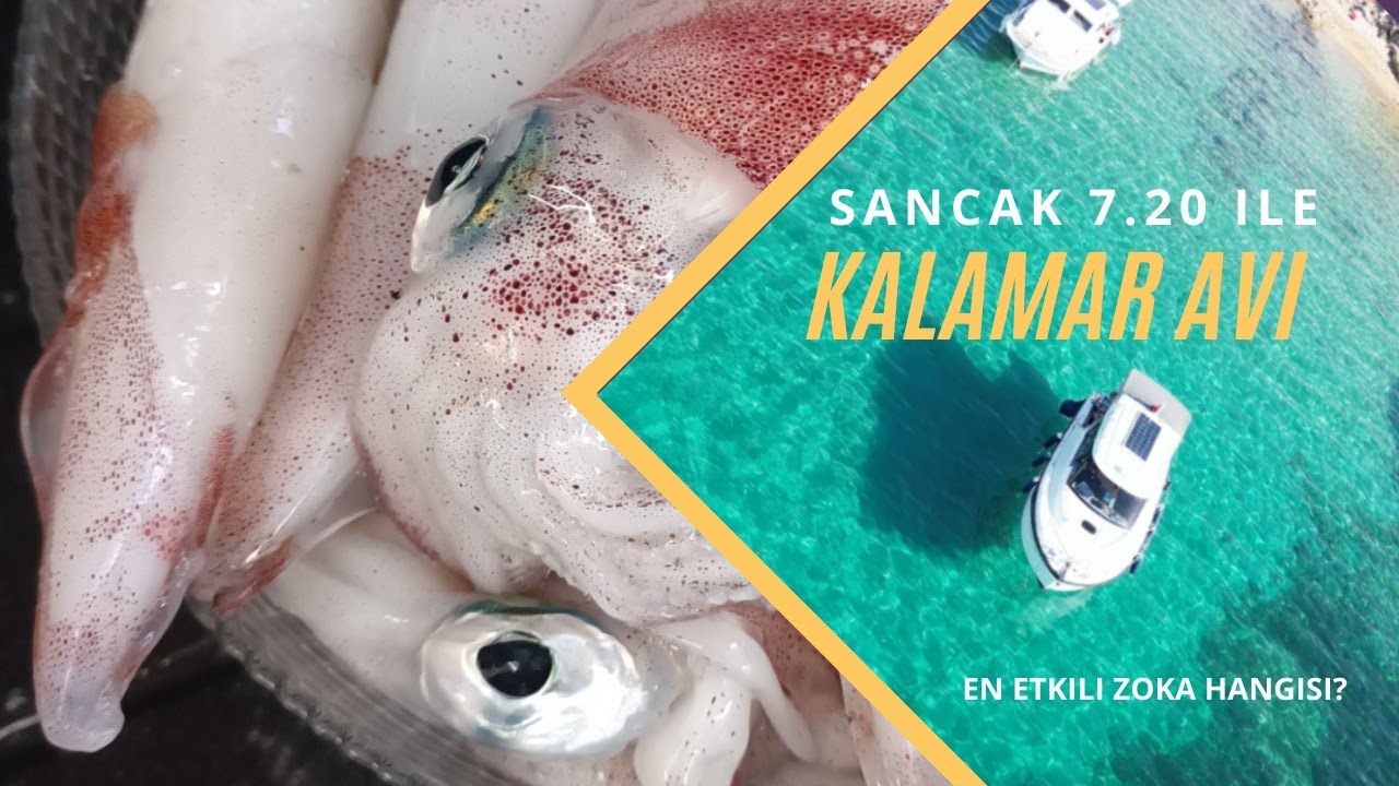 3 Saatte 20 Kalamar🦑 : En Etkili Zoka ile Av, Bir Denizden Gelen Klasiği