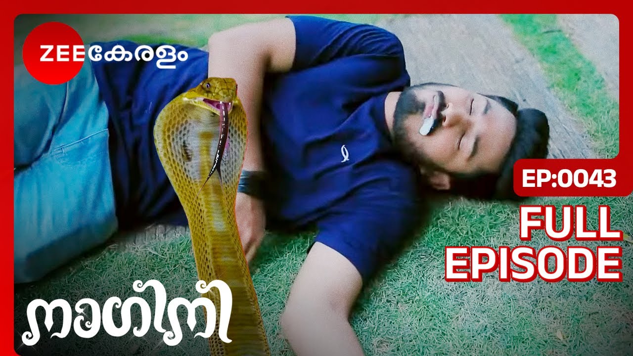 😱TRISHUL GETS A SNAKE BITE!? - Nagini | Full Ep 43 | Trishul, Shivani | Zee Keralam