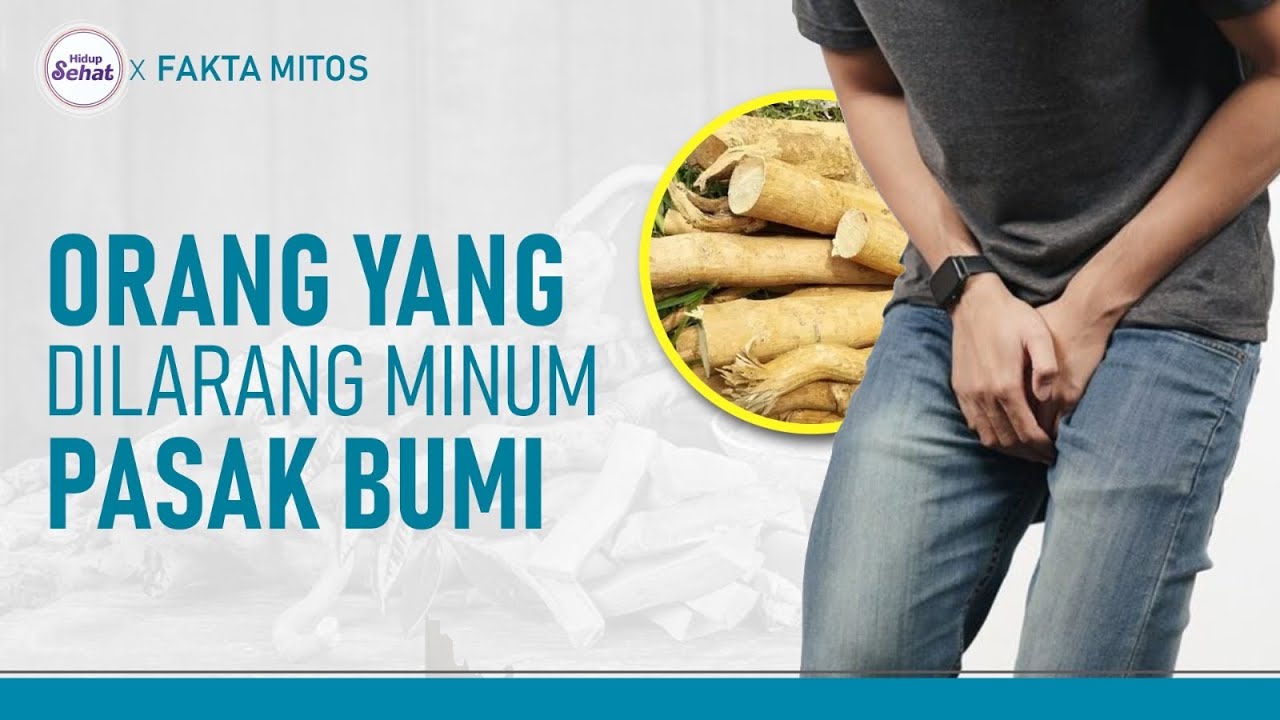 Jangan Konsumsi Pasak Bumi Jika Punya Penyakit Ini! | Hidup Sehat tvOne