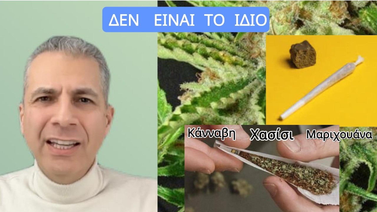 Κάνναβη, Μαριχουάνα, Χασίσι: Ποιες είναι οι διαφορές;