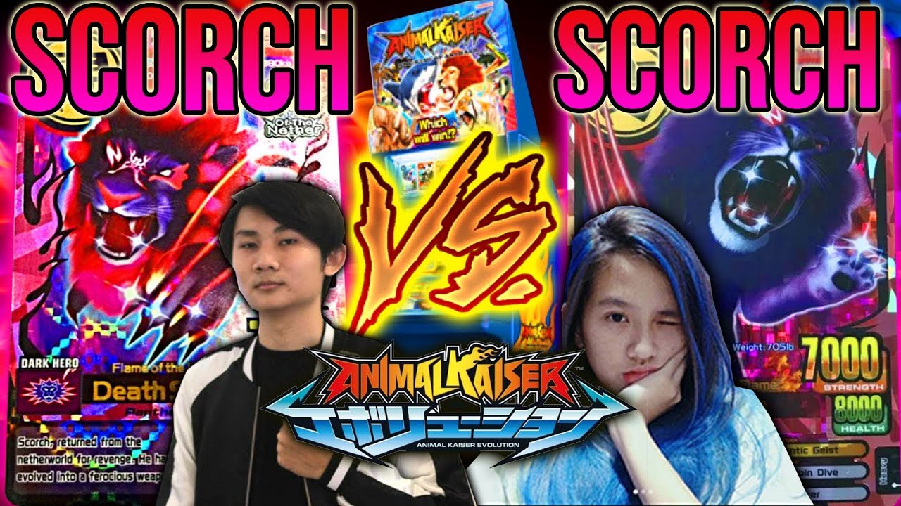 PACAR PERTAMA KALI MAIN ANIMAL KAISER, GW DIBANTAI?  - Animal Kaiser Evolution Versus Indonesia #3