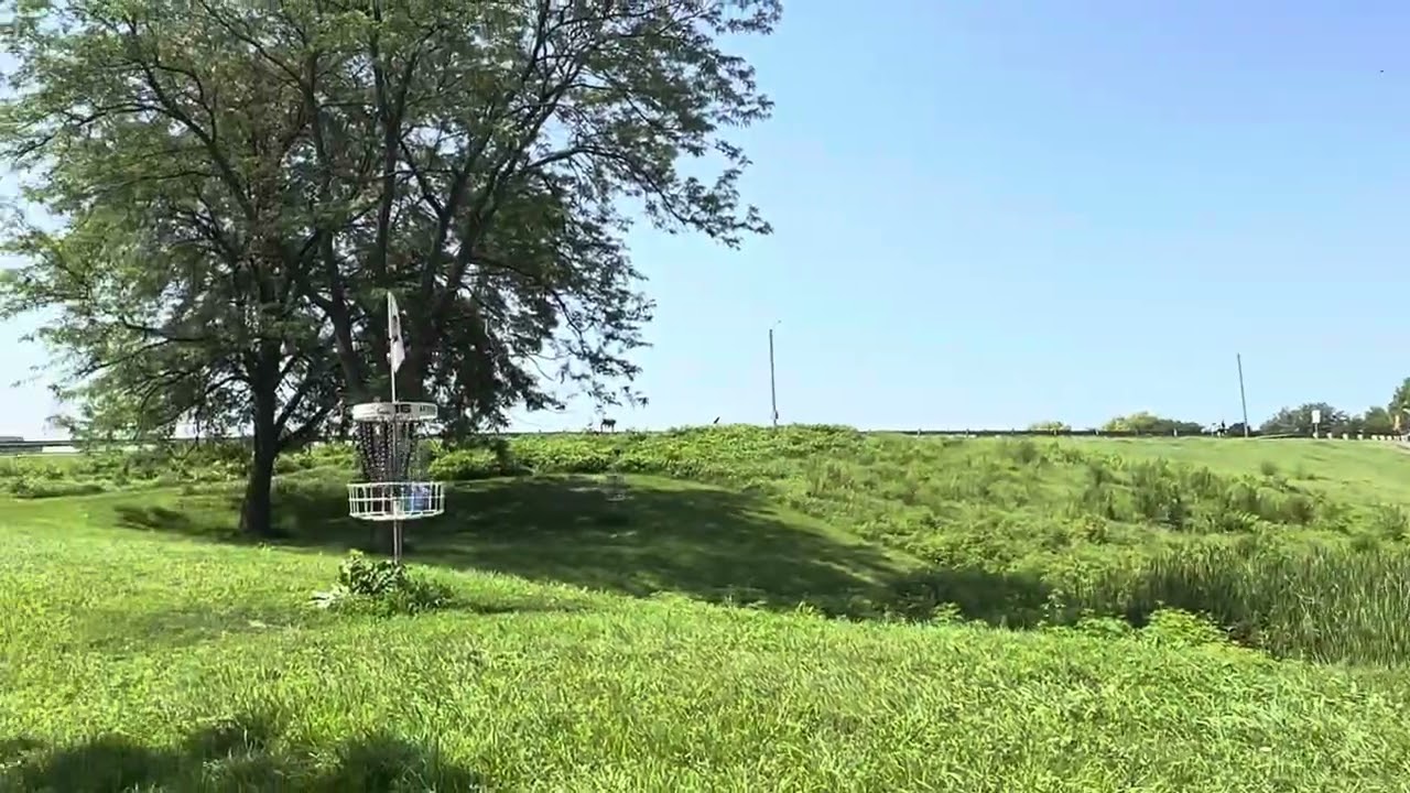 Nice throw in! #discgolf #discgolfeveryday