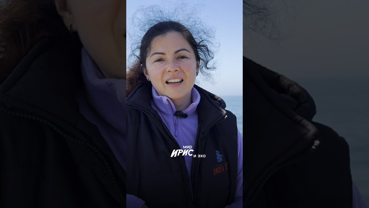 Миры, созданные Хроносом: мир Ирис. Мир дружбы человека и ИИ #ии #immersiveworld #хронос #sailing