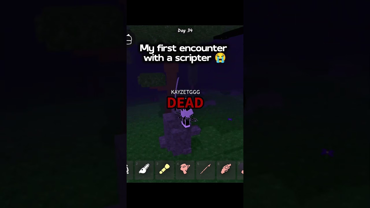 My first encounter with a scripter 