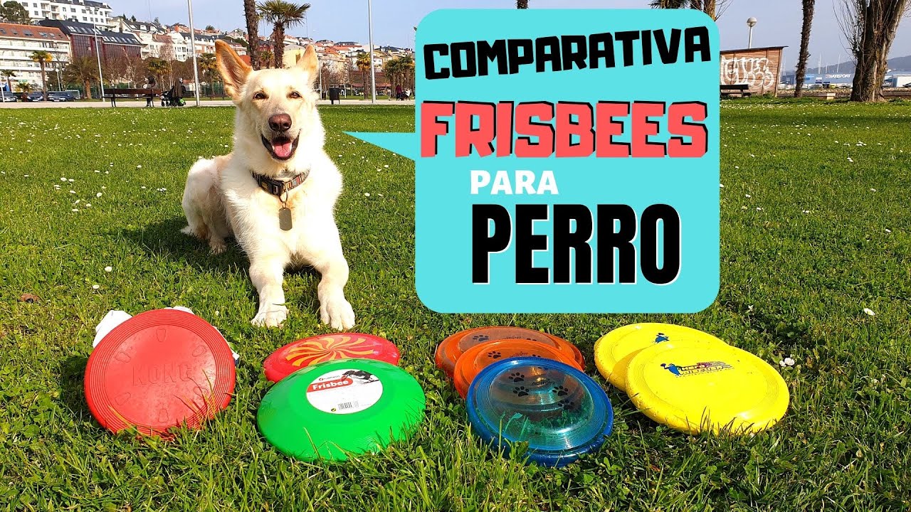 🥏COMPARATIVA FRISBEES PARA PERRO TRIXIE DOG ACTIVITY DISC, HERO SONIC XTRA 215-FREESTYLE, KONG FLYER