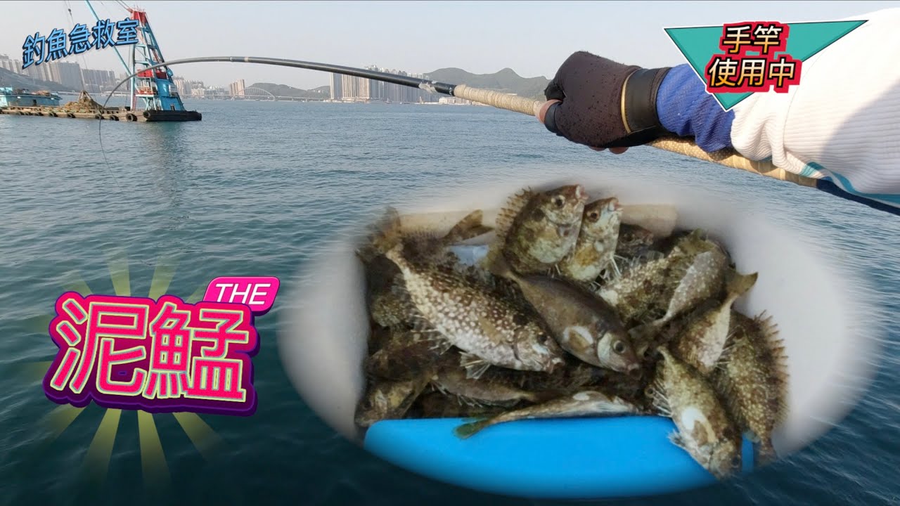 泥鯭｜手竿｜打粉