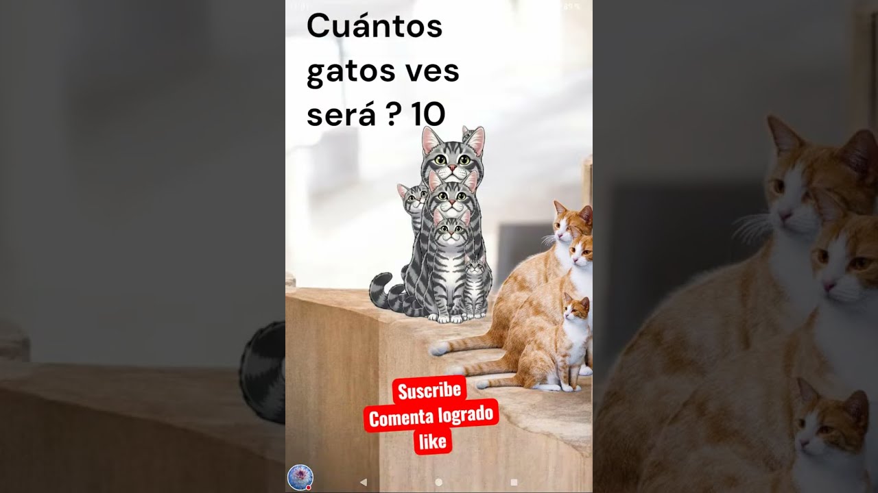vamos tu puedes a lograremos hoy todo #test #avanzados #iq Tejiendo en vivo ahora #live
