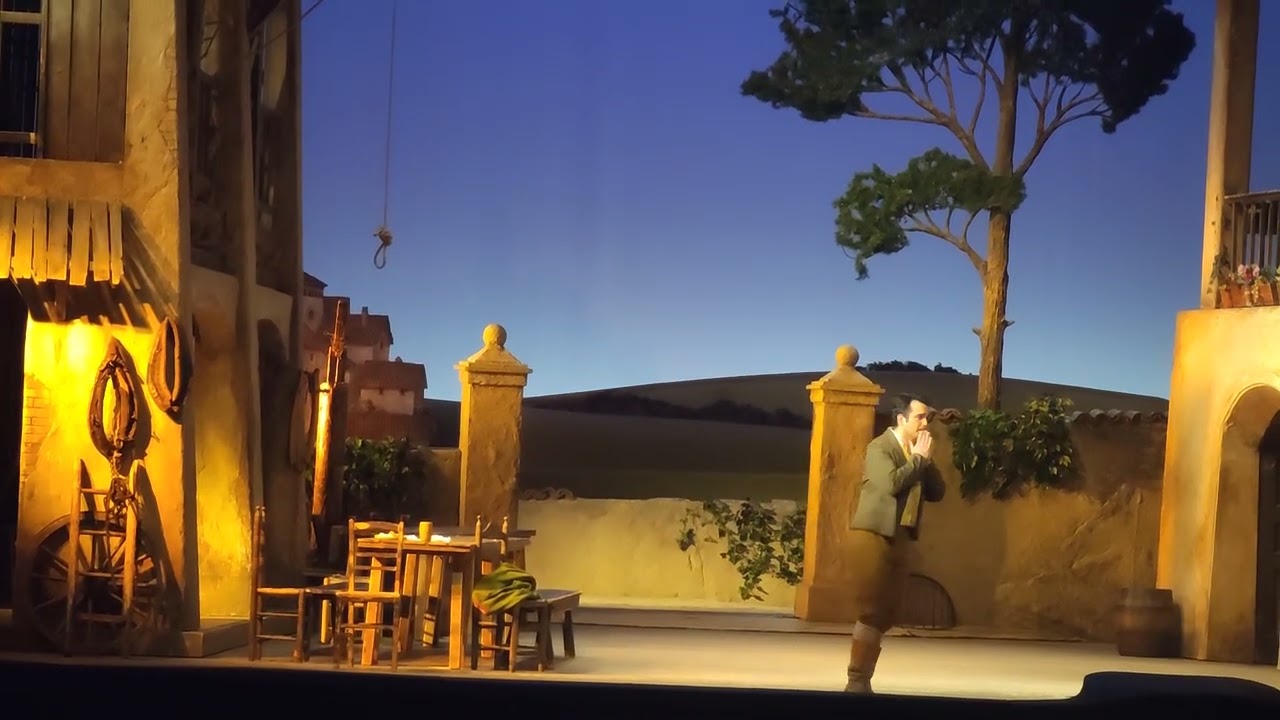 Una furtiva lagrima - Xabier Anduaga - L'elisir d'amore - Gaetano Donizetti - WSO 21III25