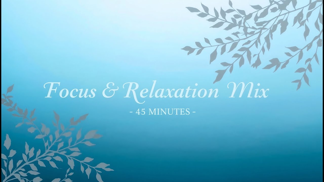 [No Copyright Music] Focus & Relaxation Music | Calm Background | Deep Concentration & Peace 🌿