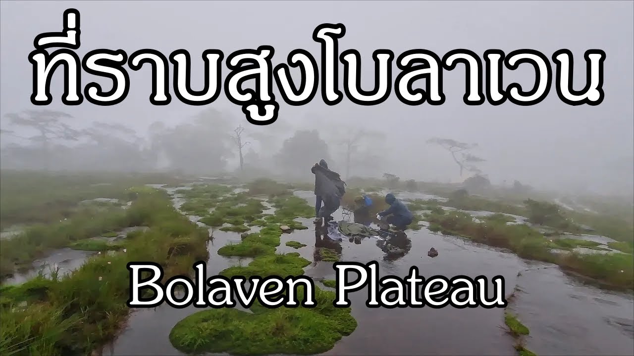 ที่ราบสูงโบลาเวน Bolaven Plateau เดินป่าหน้าฝน ลาวใต้ southern Laos น้ำตกตาดเยือง TadNyuangWaterfall