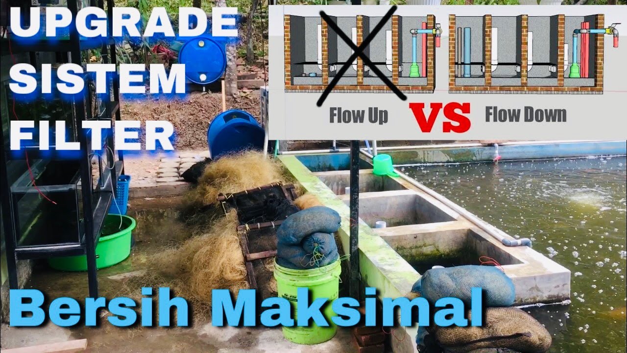UPGRADE CHAMBER FILTER KOLAM RAS | Sistem pemipaan chamber yg benar, backwash jadi mudah & maksimal