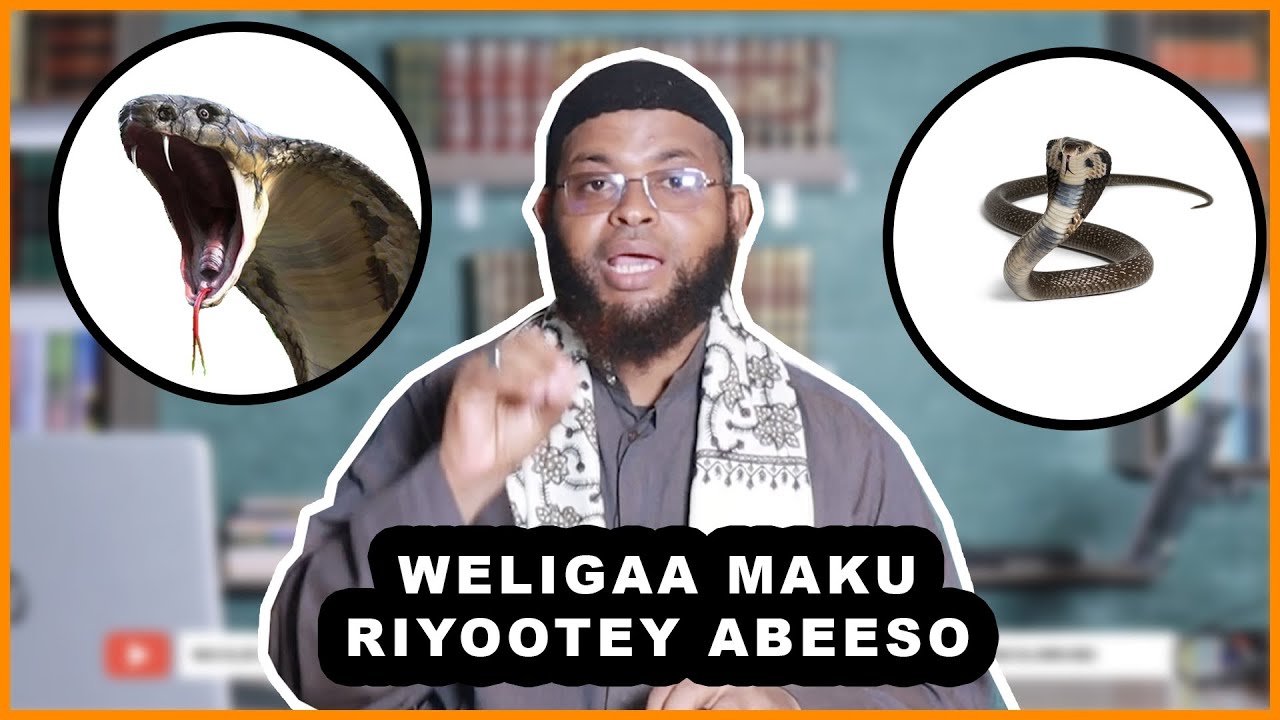 Waxa Aan Ku Riyooday Mas wayn oo Guriga kabaxaayo /Soo Galaayo 🤔