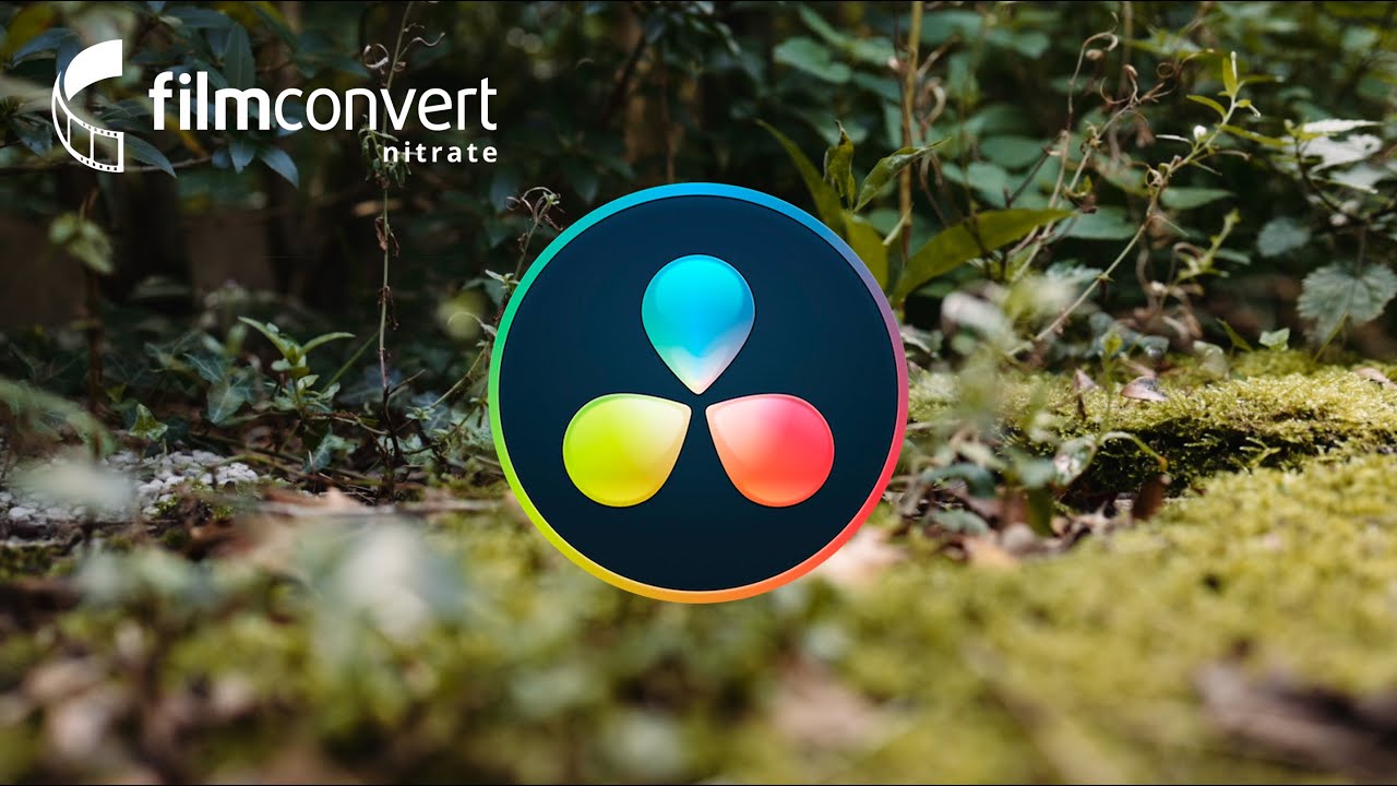 Cinematic Color Grading Made SUPER EASY! | FilmConvert Nitrate Plugin for Davinci Resolve