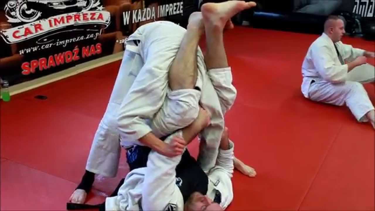 seminarium bjj zenith