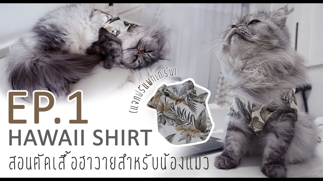 สอนตัดเสื้อฮาวายสำหรับน้องแมว Cat Clothes EP.1 | Tutorial | Hawaii Shirt (Free Pattern)