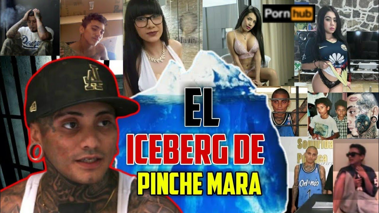 EL ICEBERG DEL RAPERO PINCHE MARA | MALANDRO REAL | POLEMICAS y PELEAS |