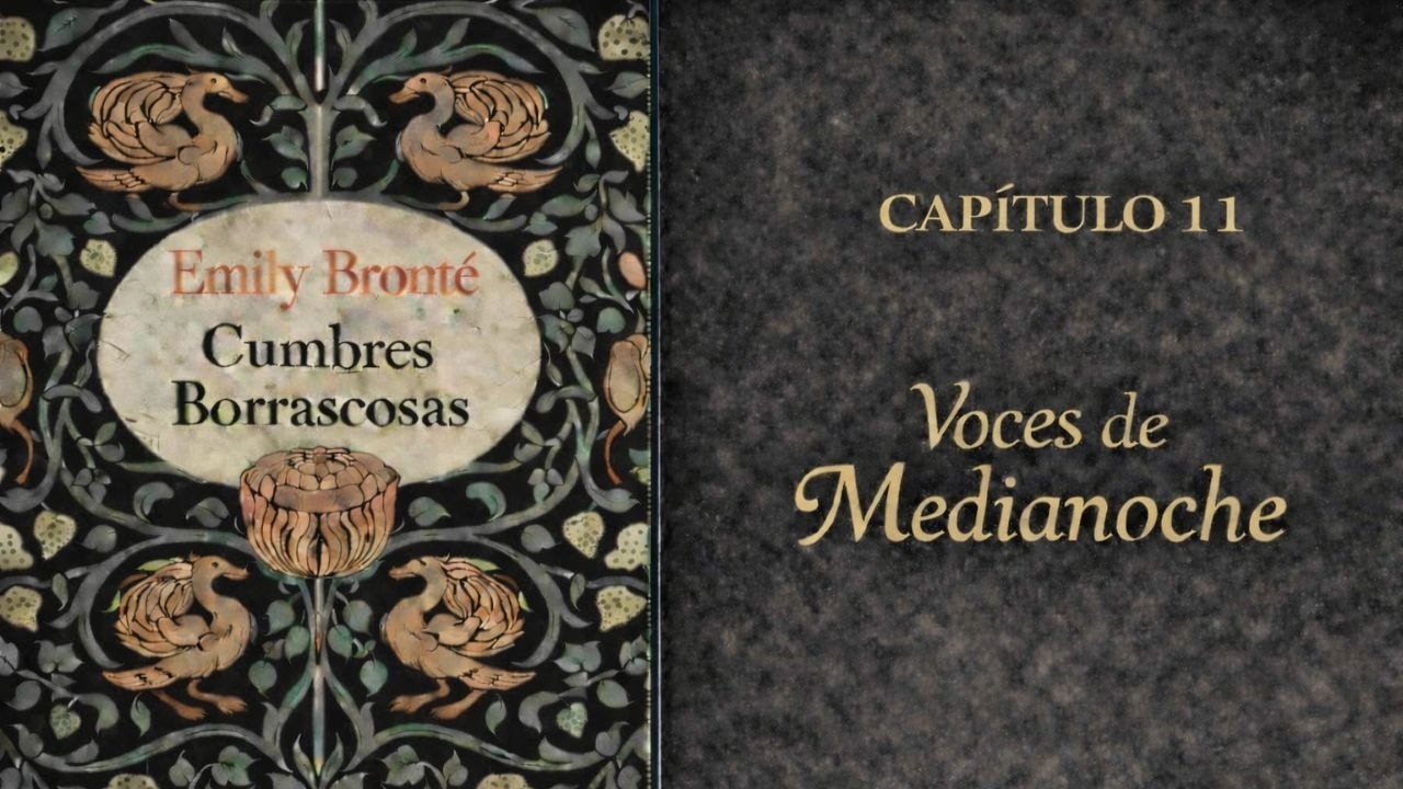 Cumbres Borrascosas Capítulo 11 | Audiolibro completo | Emily Brontë | Voz humana